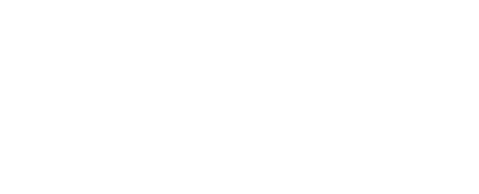 Flying Porcupines Logo